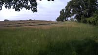 The field cam, Jun 15, 2023 at 7:52am