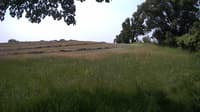 The field cam, Jun 15, 2023 at 9:11am