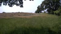 The field cam, Jun 15, 2023 at 9:14am
