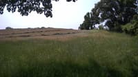 The field cam, Jun 15, 2023 at 9:26am