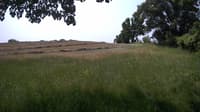 The field cam, Jun 15, 2023 at 9:28am