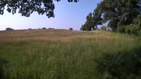 The field cam, Jun 16, 2023 at 6:40am