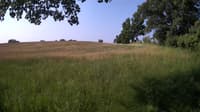 The field cam, Jun 16, 2023 at 6:41am