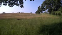 The field cam, Jun 16, 2023 at 6:56am