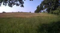 The field cam, Jun 16, 2023 at 6:58am