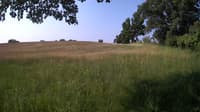 The field cam, Jun 16, 2023 at 6:58am