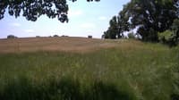 The field cam, Jun 16, 2023 at 10:12am