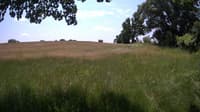 The field cam, Jun 16, 2023 at 10:18am