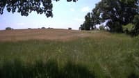 The field cam, Jun 16, 2023 at 10:22am