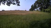The field cam, Jun 17, 2023 at 7:15am