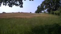 The field cam, Jun 17, 2023 at 7:34am