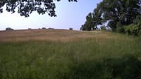 The field cam, Jun 17, 2023 at 7:46am