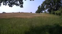The field cam, Jun 17, 2023 at 7:51am