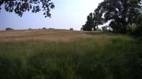 The field cam, Jun 17, 2023 at 1:04pm