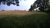 The field cam, Jun 17, 2023 at 1:41pm