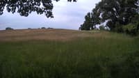 The field cam, Jun 18, 2023 at 8:58am