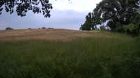 The field cam, Jun 18, 2023 at 9:18am