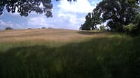 The field cam, Jun 19, 2023 at 1:40pm
