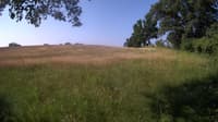 The field cam, Jun 20, 2023 at 6:38am