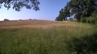 The field cam, Jun 20, 2023 at 6:44am