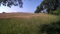 The field cam, Jun 20, 2023 at 6:46am