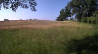 The field cam, Jun 20, 2023 at 6:47am