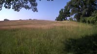 The field cam, Jun 20, 2023 at 6:50am