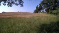 The field cam, Jun 20, 2023 at 7:00am