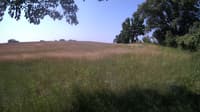 The field cam, Jun 21, 2023 at 8:23am