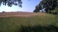 The field cam, Jun 21, 2023 at 8:26am