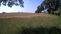 The field cam, Jun 21, 2023 at 8:29am