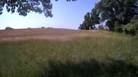 The field cam, Jun 21, 2023 at 8:33am