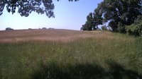 The field cam, Jun 21, 2023 at 8:52am