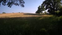 The field cam, Jun 21, 2023 at 3:04pm