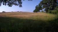 The field cam, Jun 22, 2023 at 6:04am