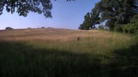 The field cam, Jun 22, 2023 at 6:11am