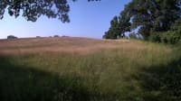 The field cam, Jun 22, 2023 at 6:23am