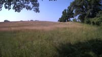 The field cam, Jun 22, 2023 at 7:26am