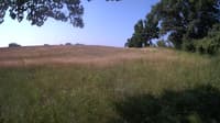 The field cam, Jun 22, 2023 at 7:32am