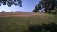 The field cam, Jun 22, 2023 at 7:43am
