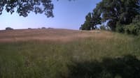 The field cam, Jun 22, 2023 at 7:44am