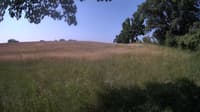 The field cam, Jun 22, 2023 at 7:46am