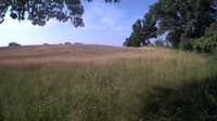 The field cam, Jun 23, 2023 at 6:55am