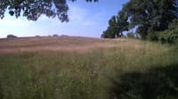 The field cam, Jun 23, 2023 at 7:02am
