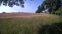 The field cam, Jun 23, 2023 at 7:06am