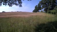 The field cam, Jun 23, 2023 at 7:08am