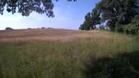 The field cam, Jun 23, 2023 at 7:09am