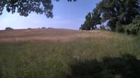 The field cam, Jun 23, 2023 at 7:42am