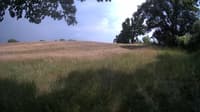 The field cam, Jun 23, 2023 at 1:01pm