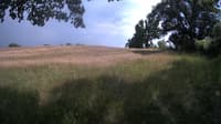 The field cam, Jun 23, 2023 at 1:05pm